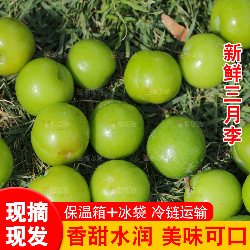 草地上放着青脆李