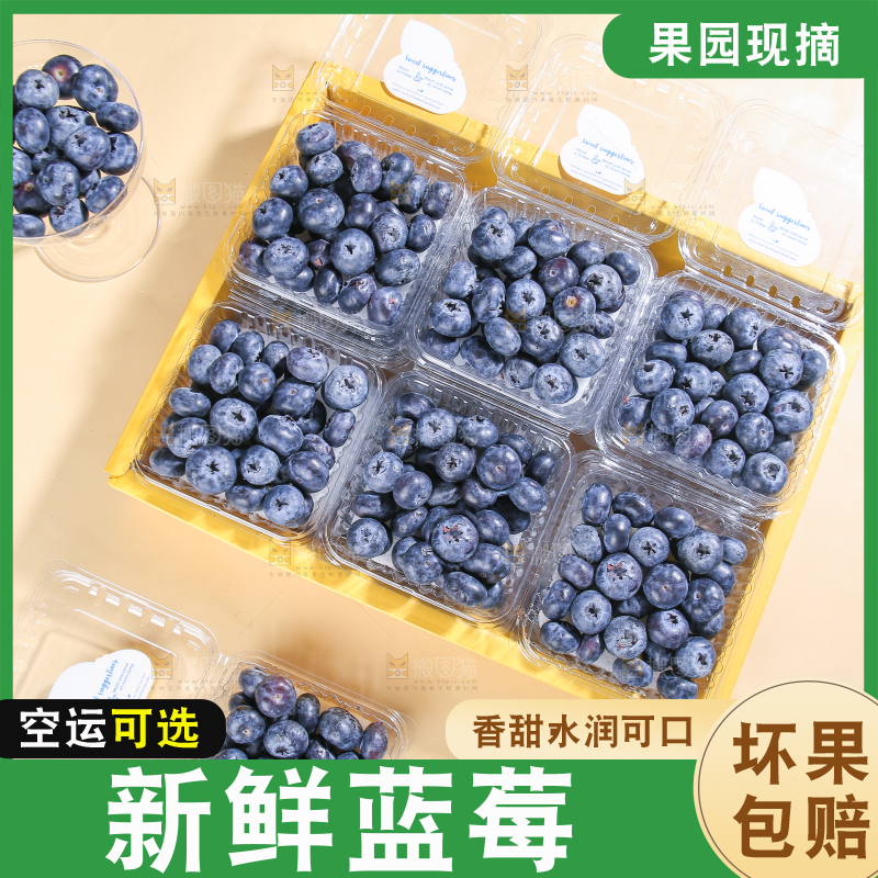 浅底上的新鲜蓝莓