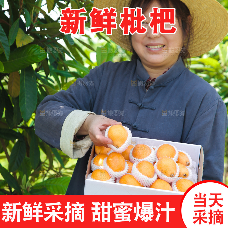 女人手里端着一箱大五星枇杷