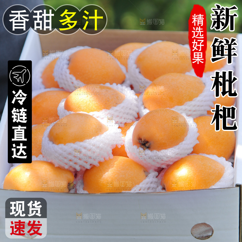 手里端着一箱五星枇杷