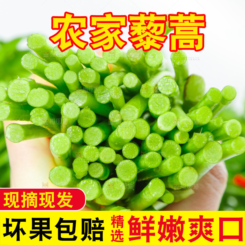 白底上放着藜蒿