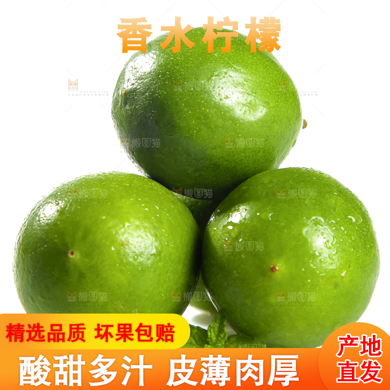 白底上的无籽香水柠檬