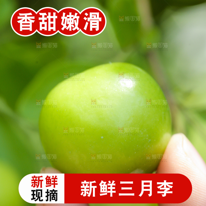 手里拿着青脆李