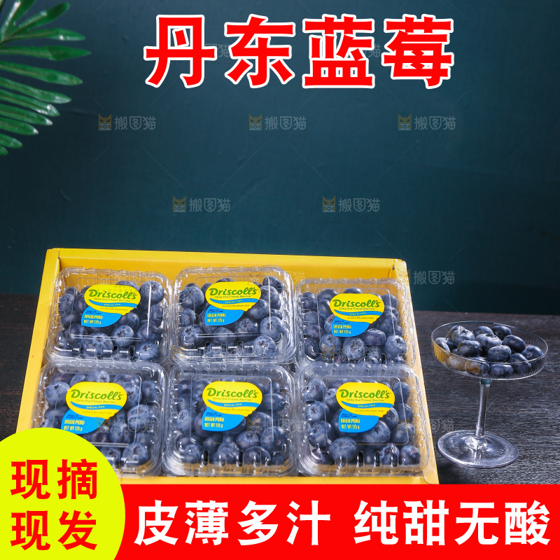 黑底上摆着的新鲜蓝莓