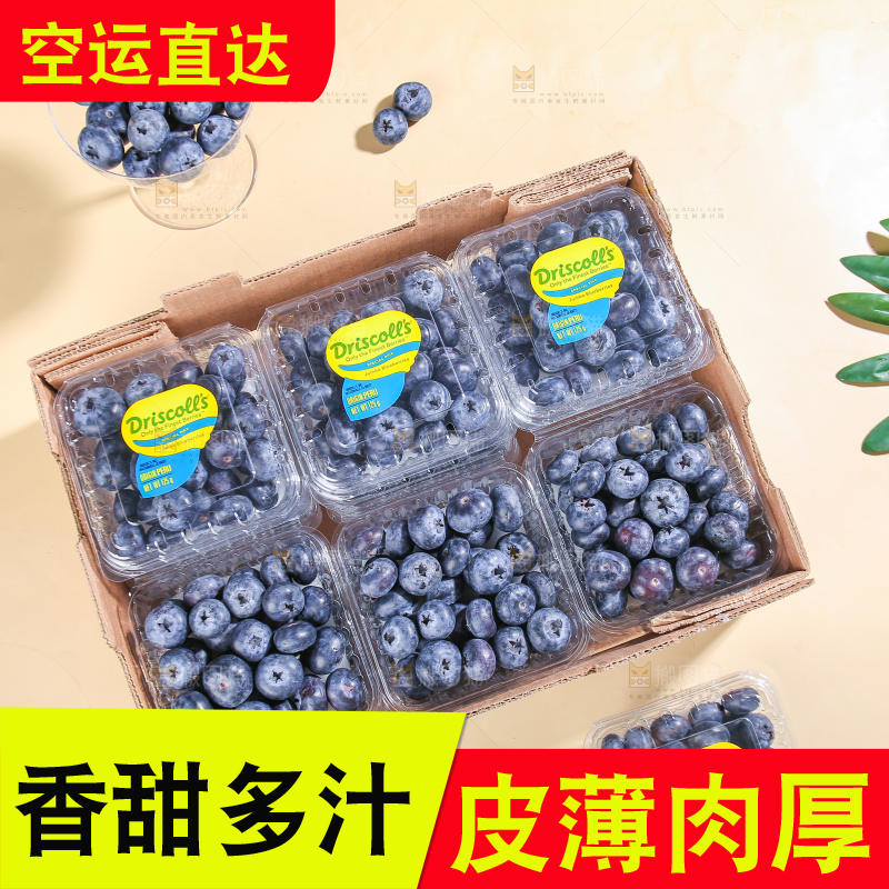 浅底上的新鲜蓝莓