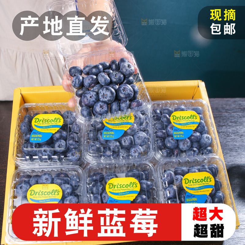 黑底上摆着的新鲜蓝莓