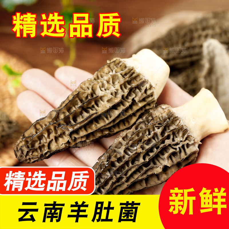 木底上的羊肚菇