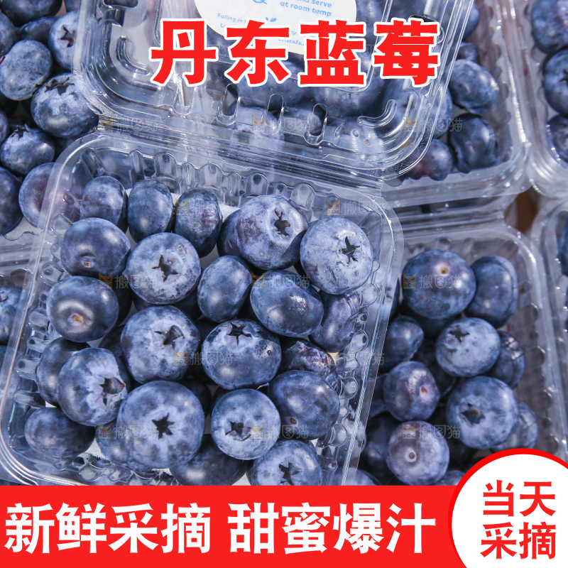 浅底上的新鲜蓝莓