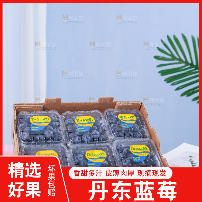 浅底上的新鲜蓝莓