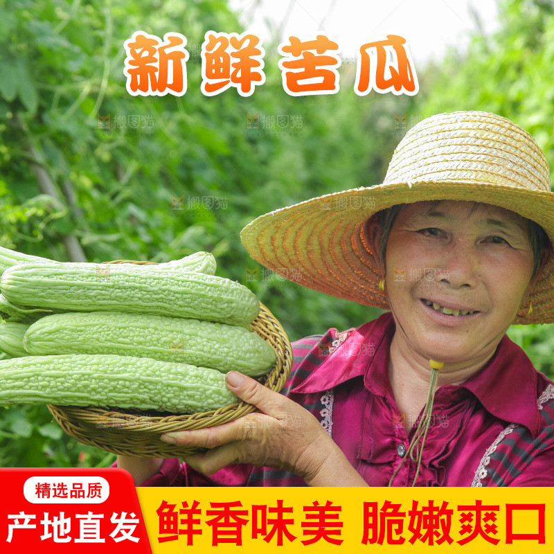 手里拿着新鲜苦瓜