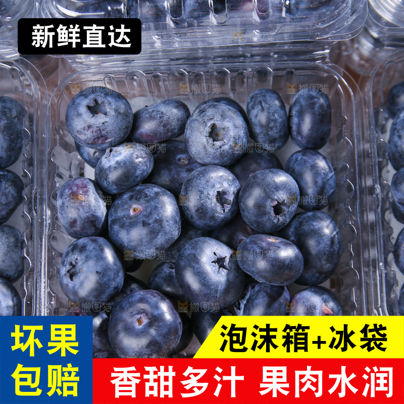 黑底上摆着的新鲜蓝莓