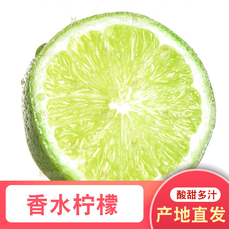 白底上的无籽香水柠檬