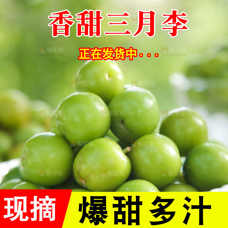 一盘三月李