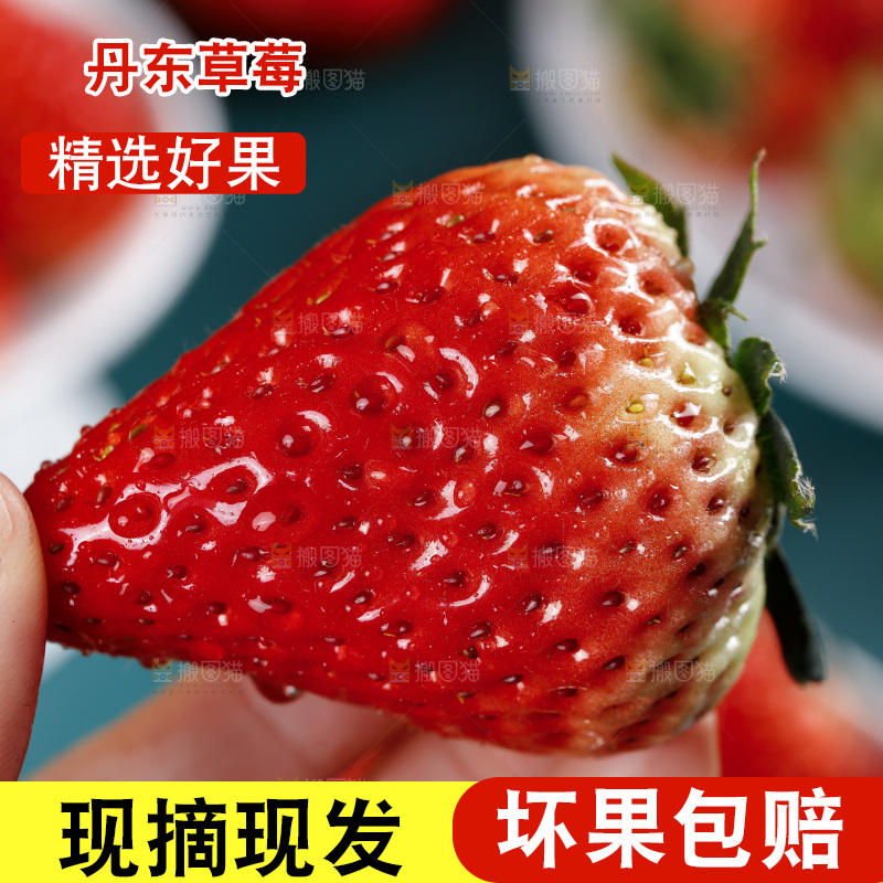 深底上的丹东草莓