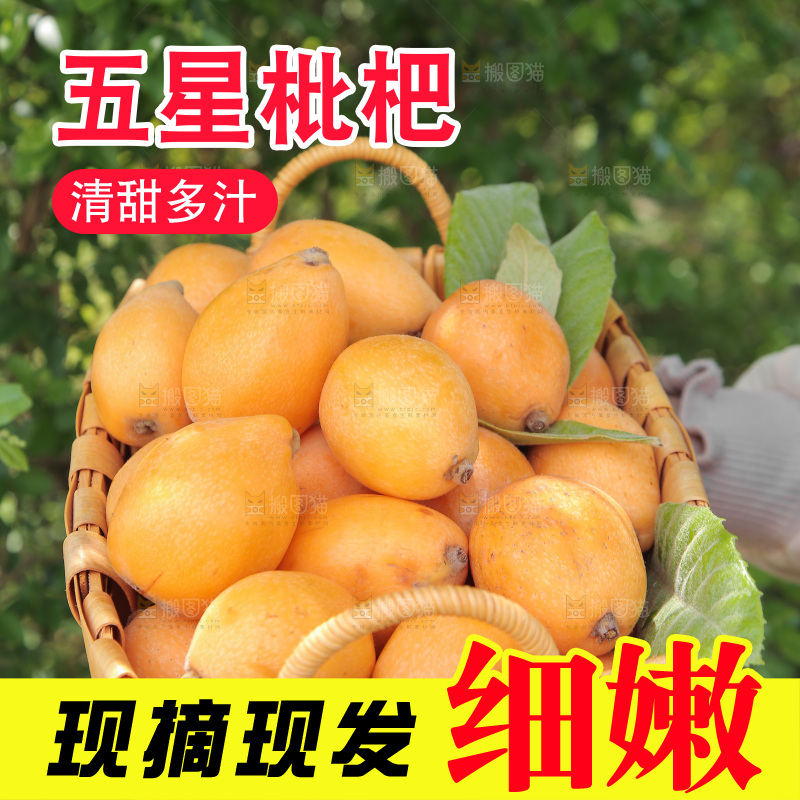 手里端着一篮枇杷