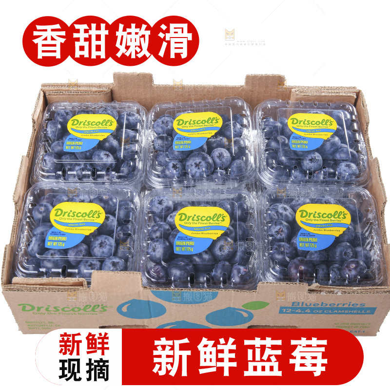 白底上放着的新鲜蓝莓