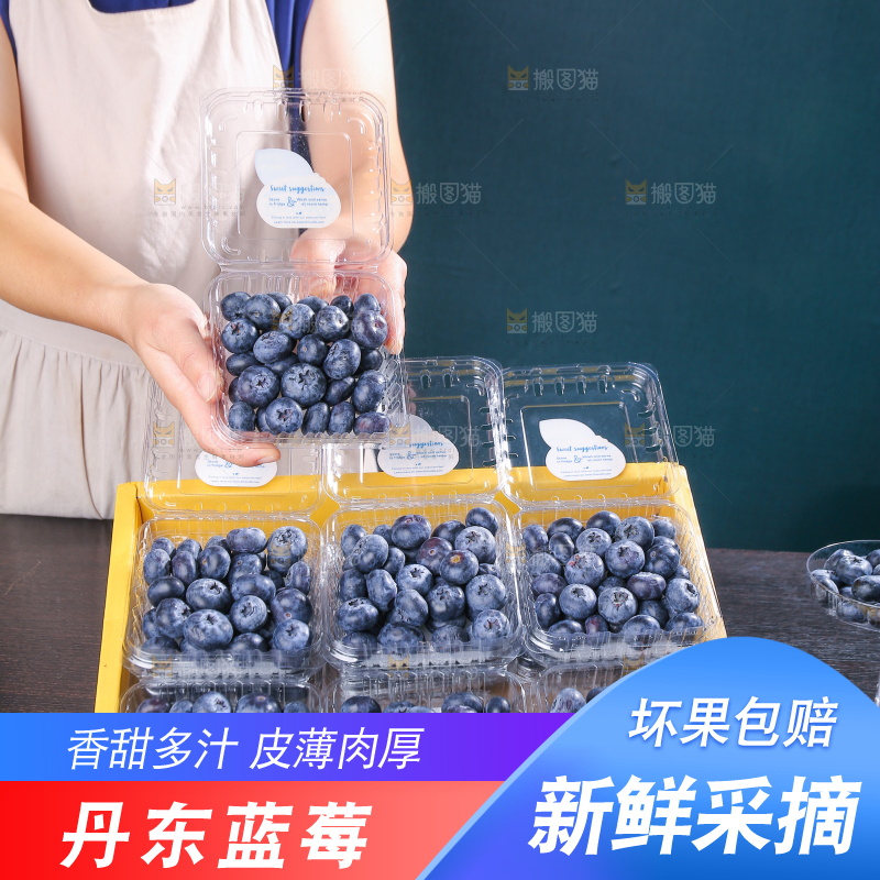 黑底上摆着的新鲜蓝莓
