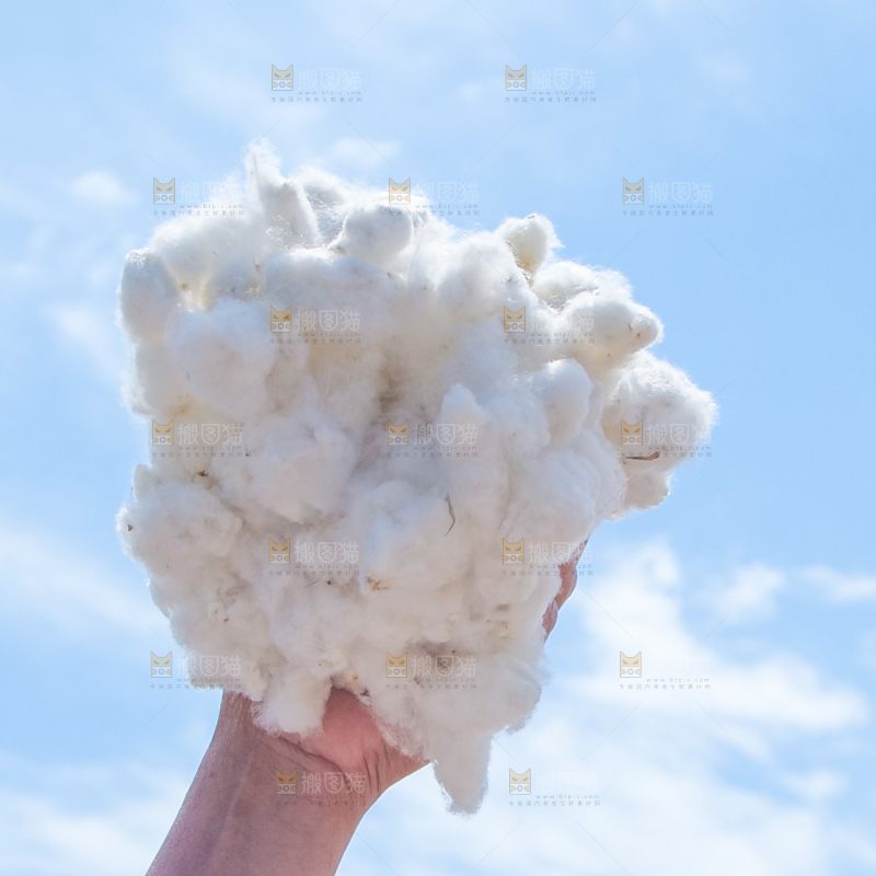 手里拿着棉花