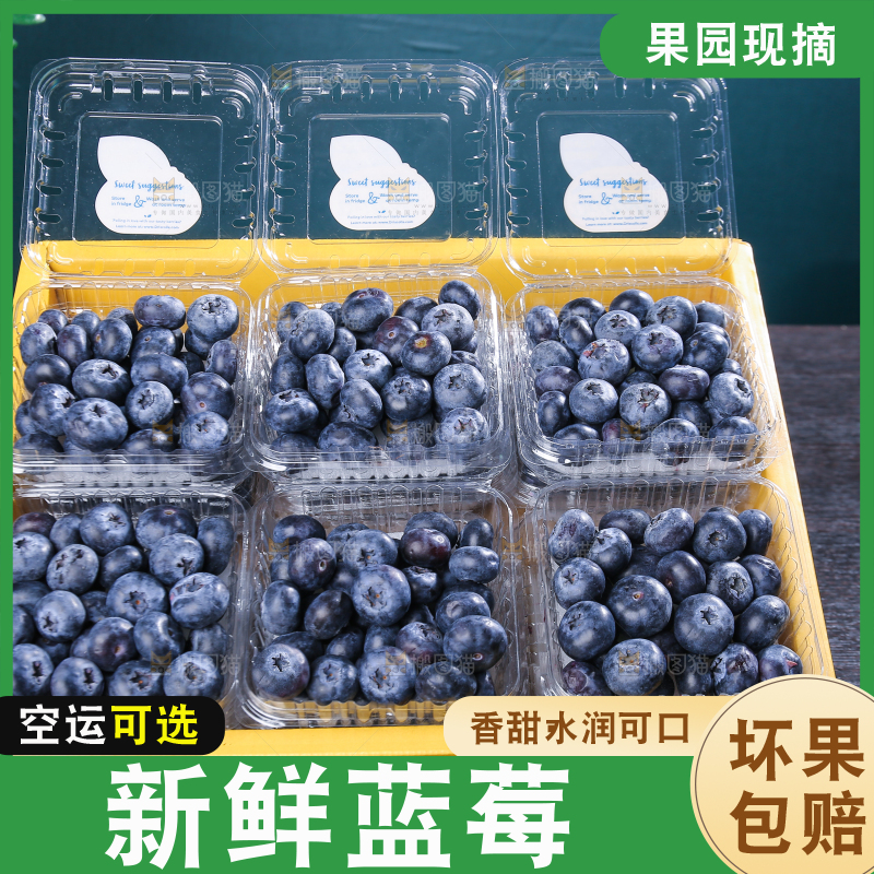 黑底上摆着的新鲜蓝莓