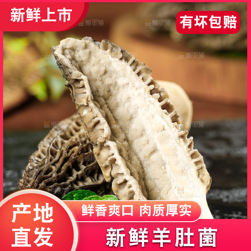 木底上的羊肚菇