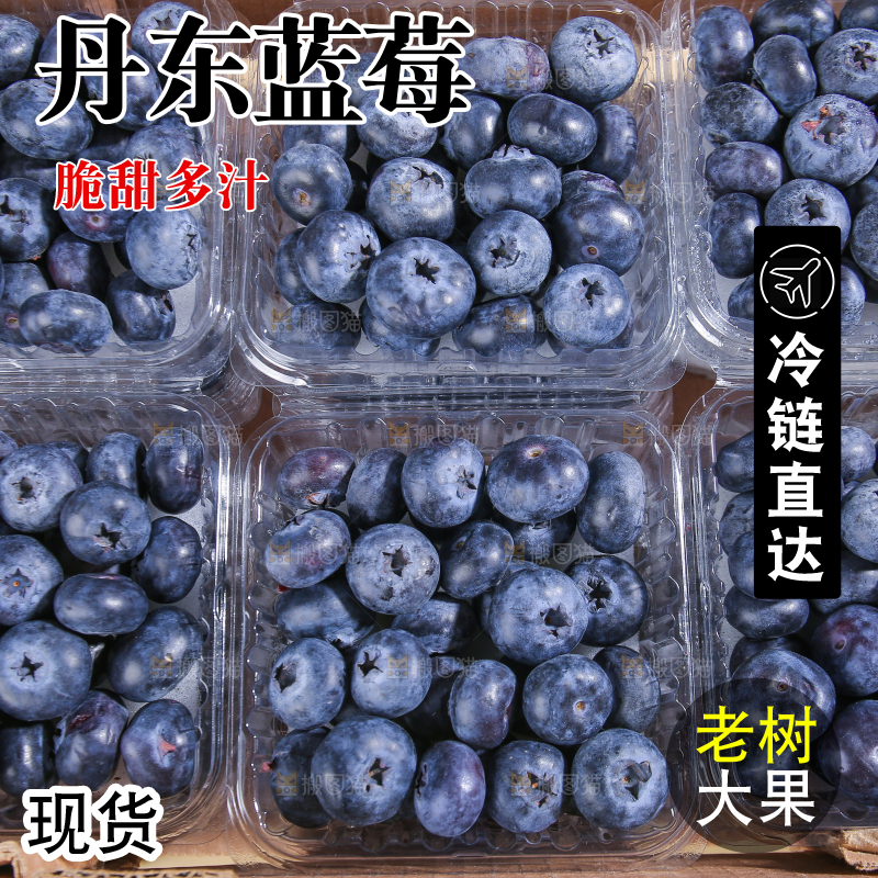 浅底上的新鲜蓝莓