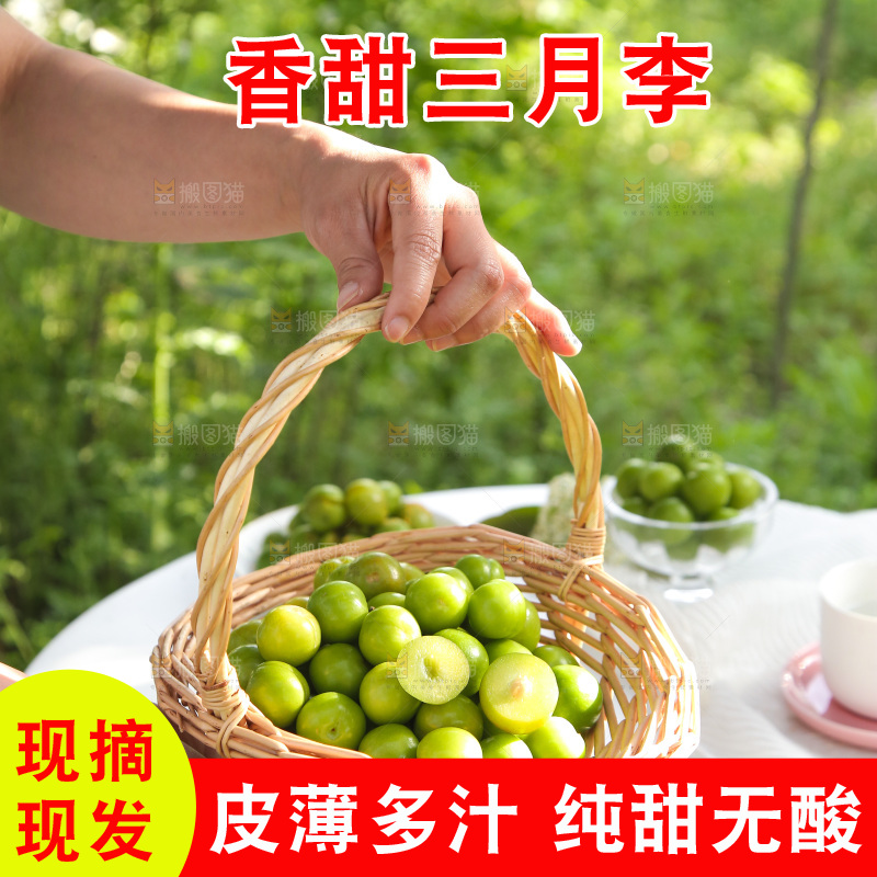手里提着一篮三月李