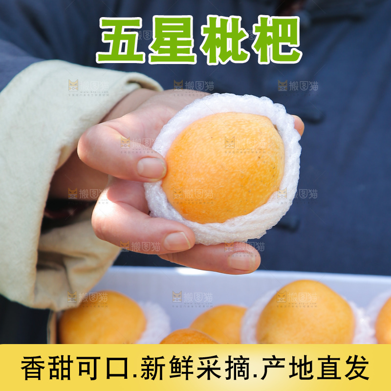 手里拿着四川大五星枇杷