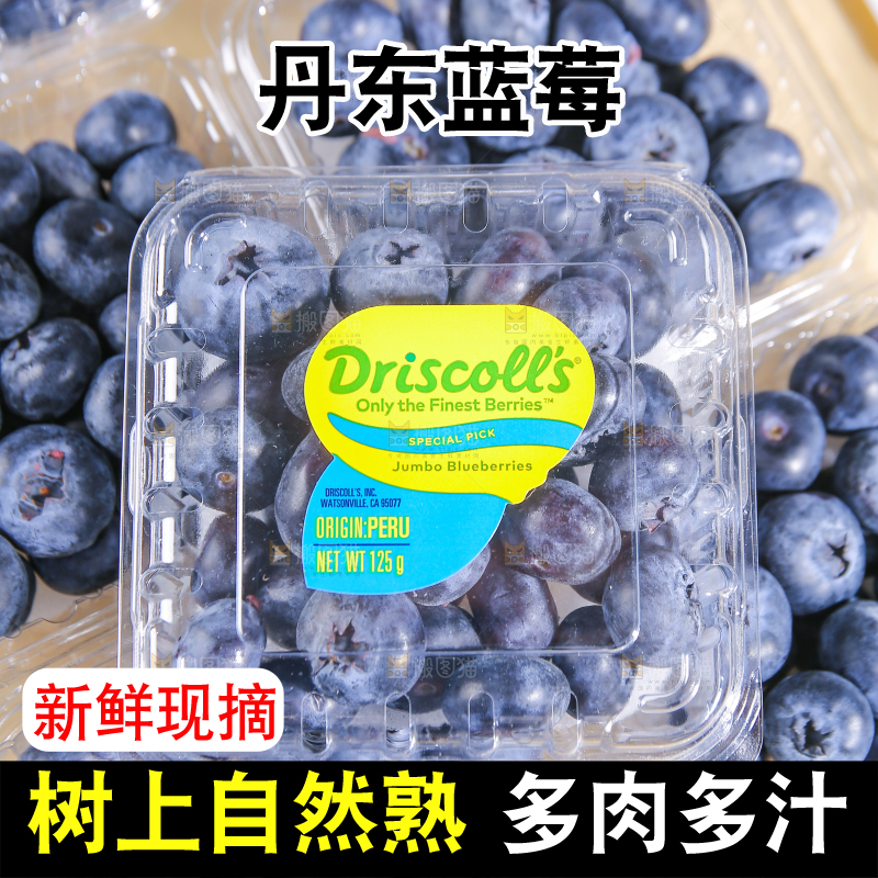 浅底上的新鲜蓝莓