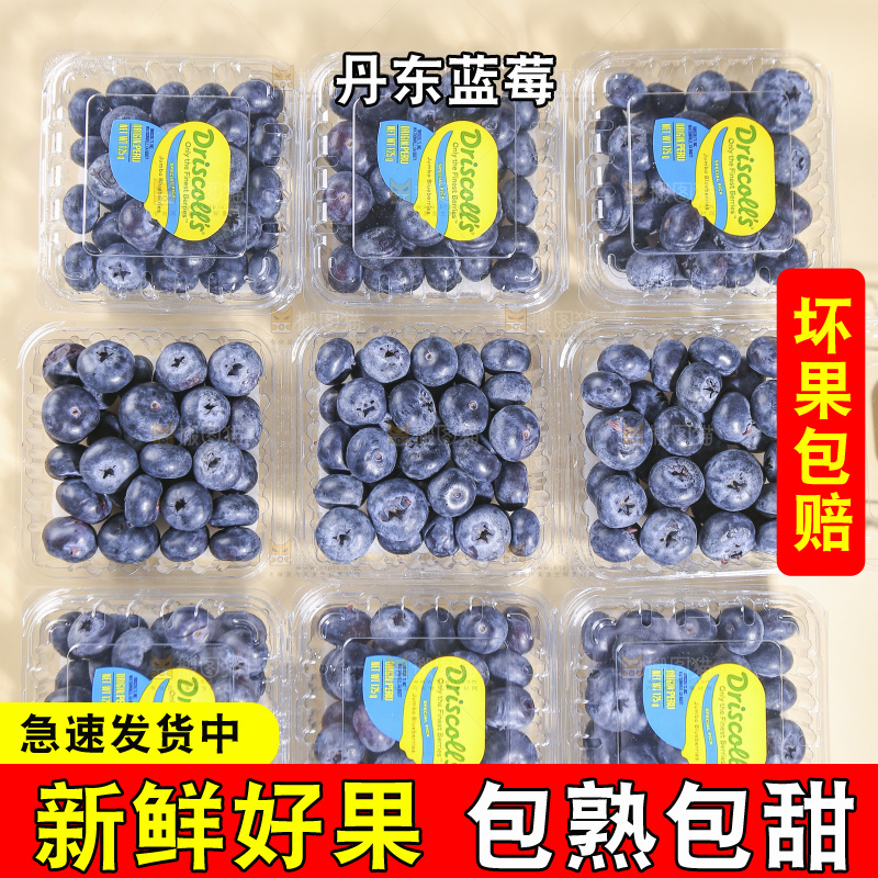 浅底上的新鲜蓝莓