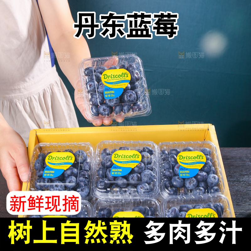 黑底上摆着的新鲜蓝莓