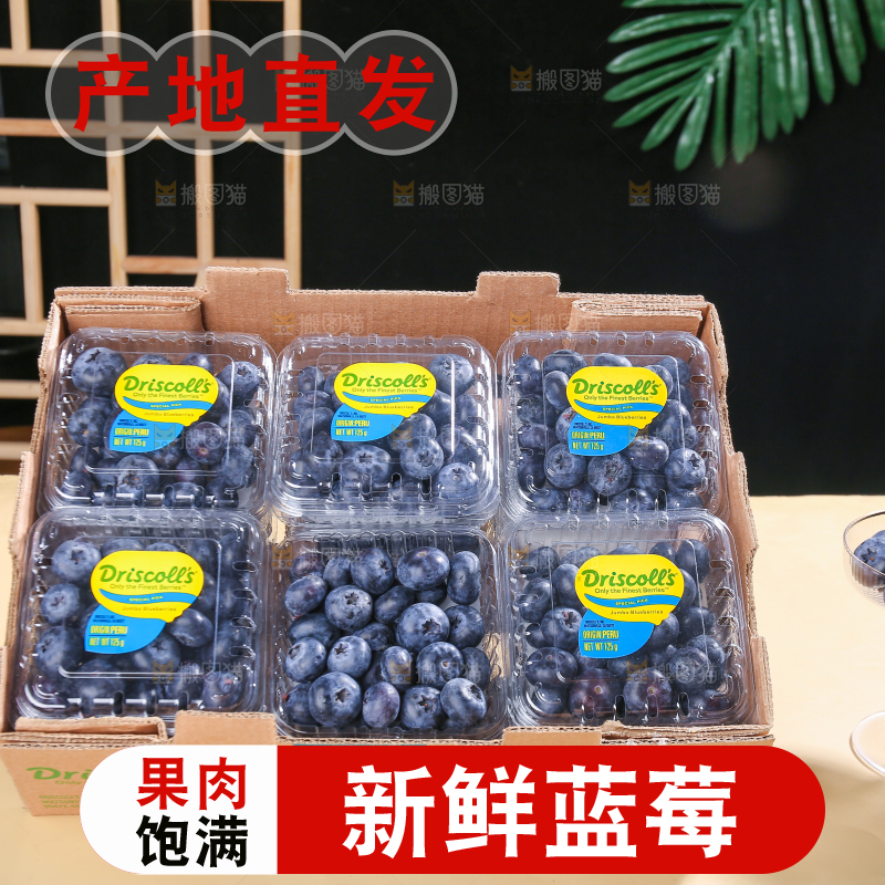 浅底上的新鲜蓝莓