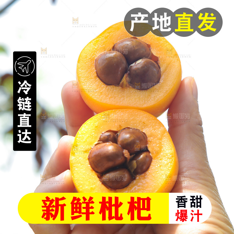 手里拿着切开的五星枇杷