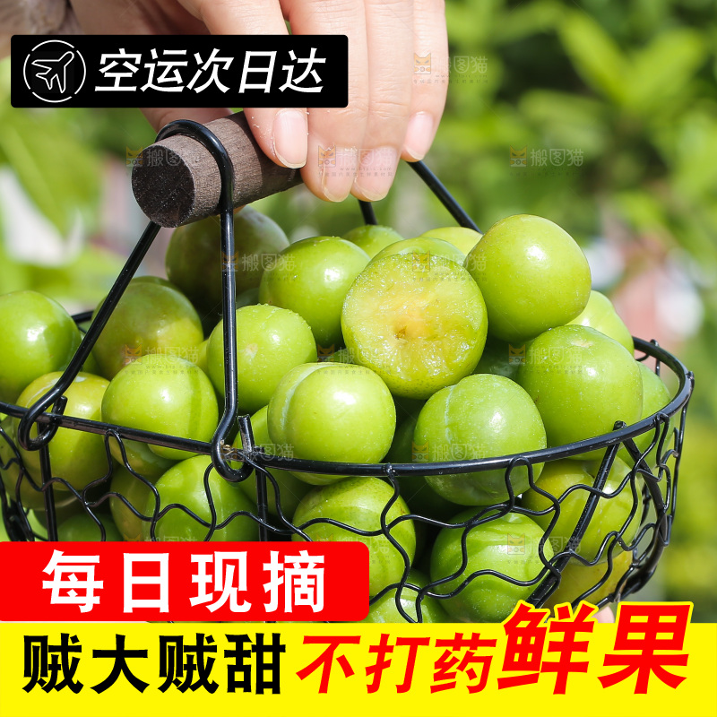 手里端着一篮酸脆三月李