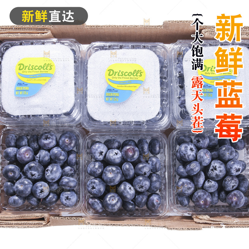 白底上放着的新鲜蓝莓