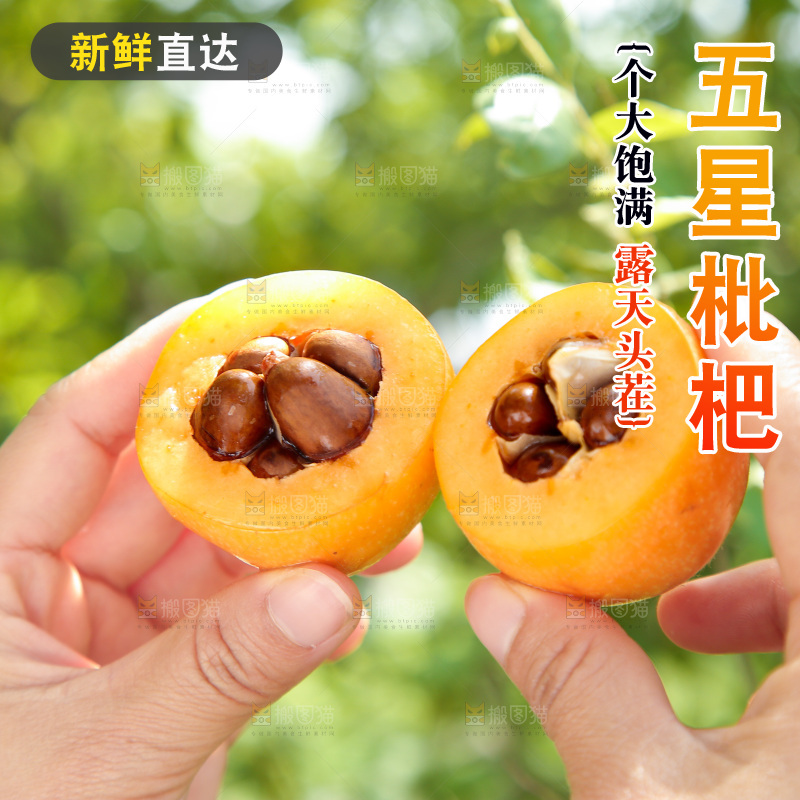 手里拿着切开的五星枇杷