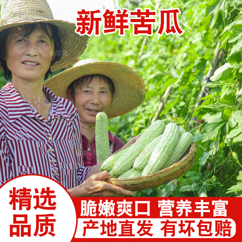 手里拿着新鲜苦瓜
