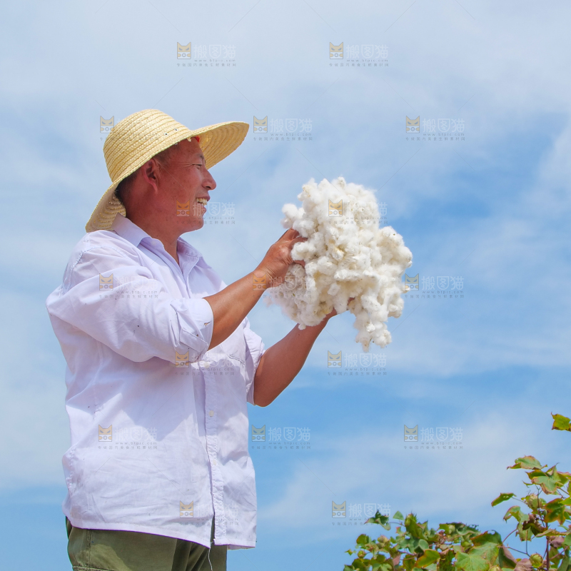 手里拿着棉花