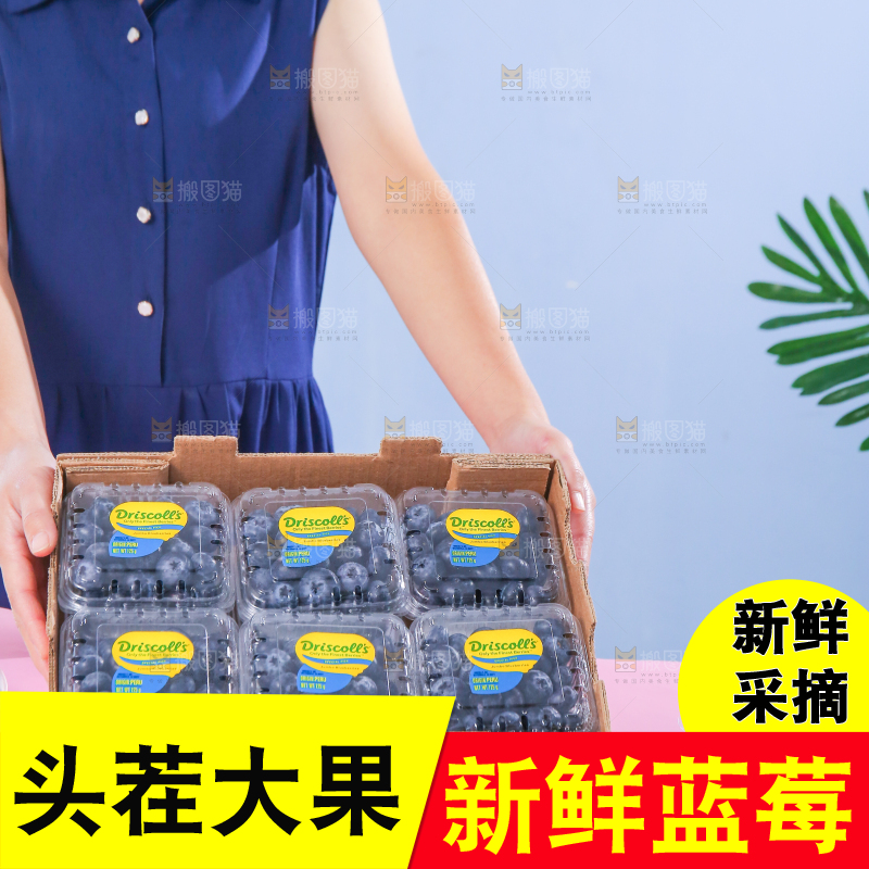 浅底上的新鲜蓝莓