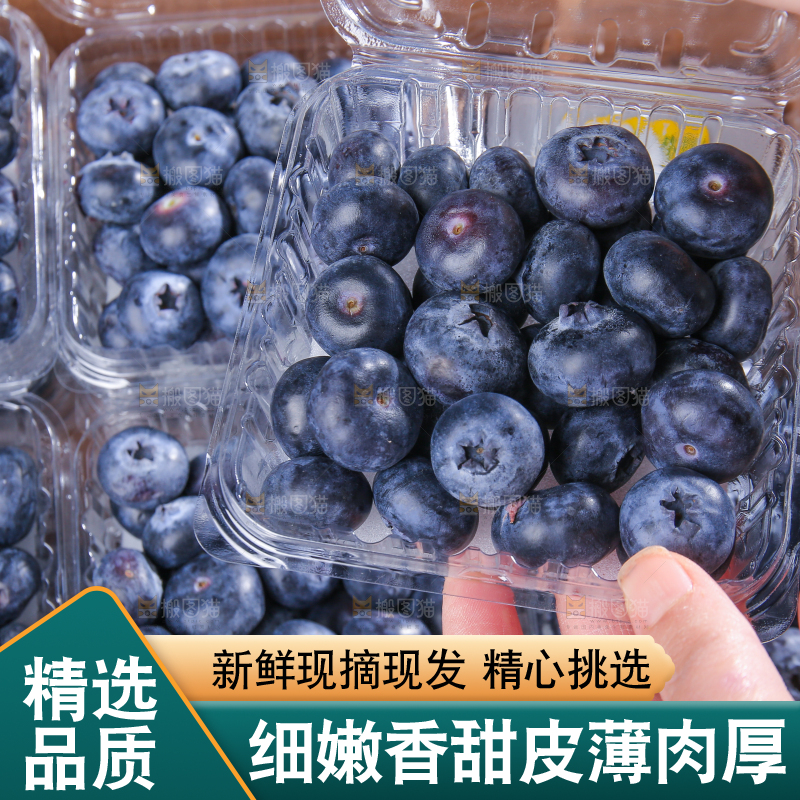 黑底上摆着的新鲜蓝莓