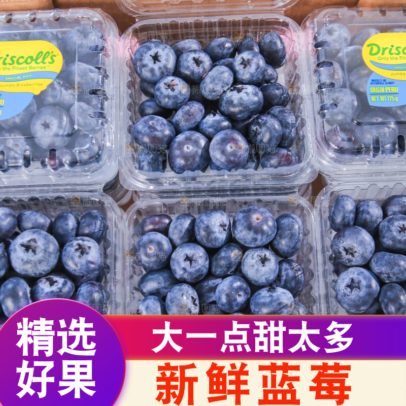 浅底上的新鲜蓝莓