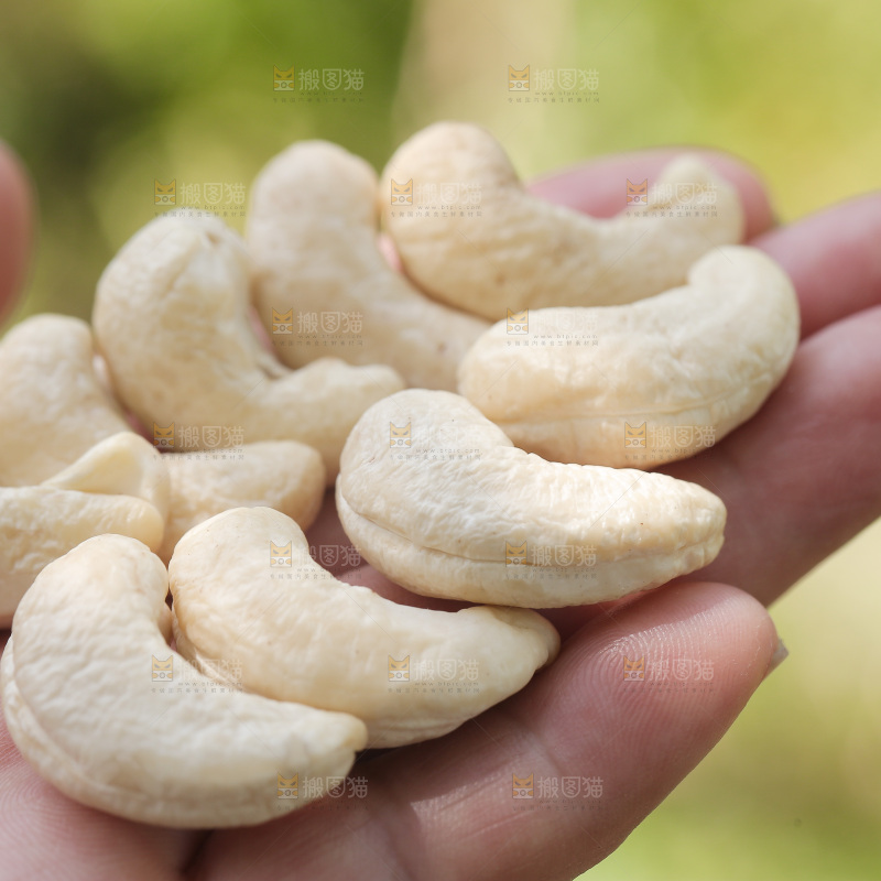 手里拿着腰果仁