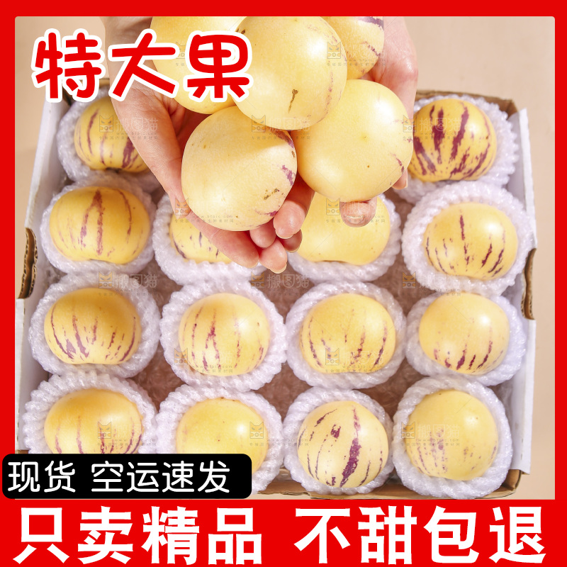 礼品盒里的人参果
