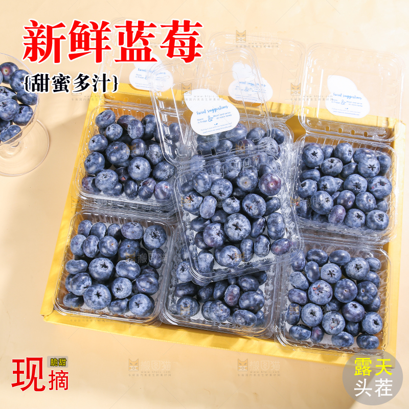 浅底上的新鲜蓝莓