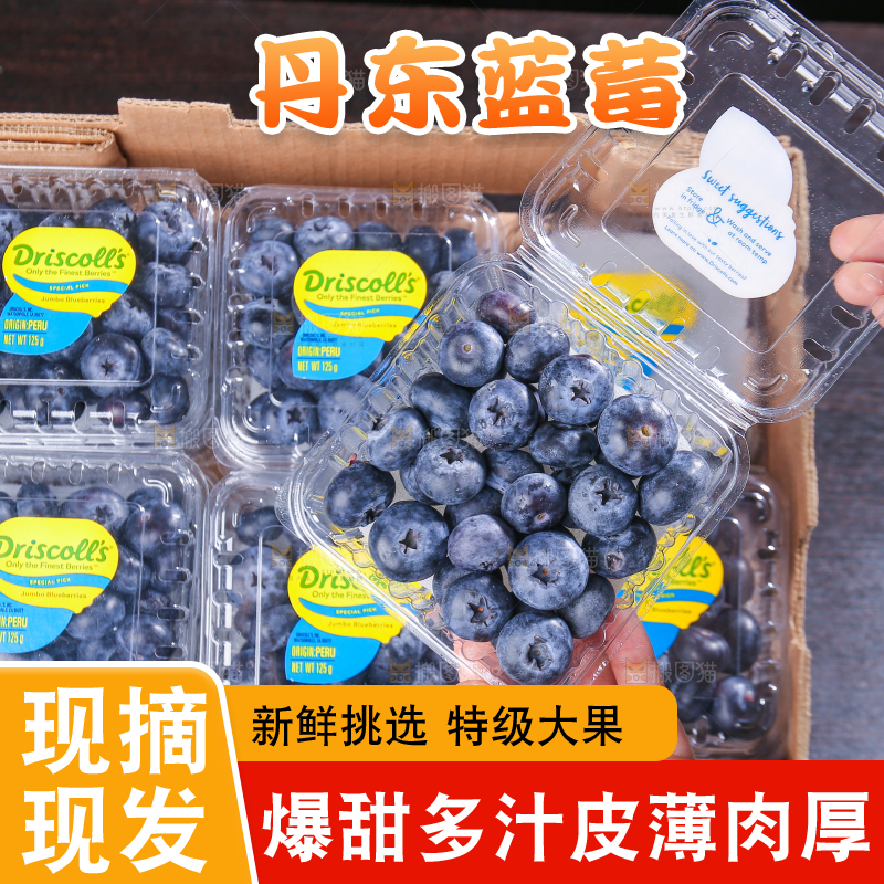 黑底上摆着的新鲜蓝莓