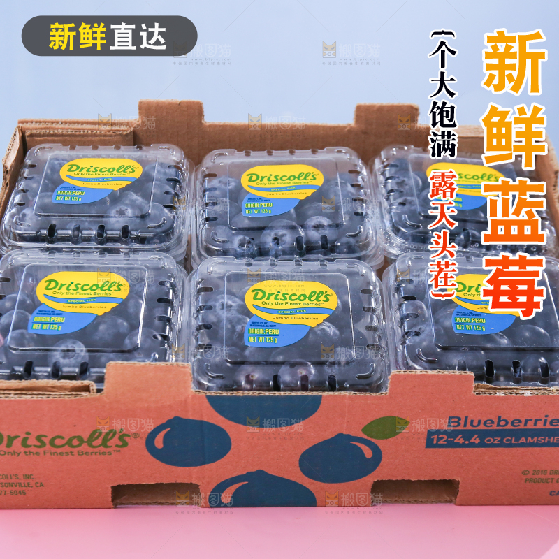 浅底上的新鲜蓝莓