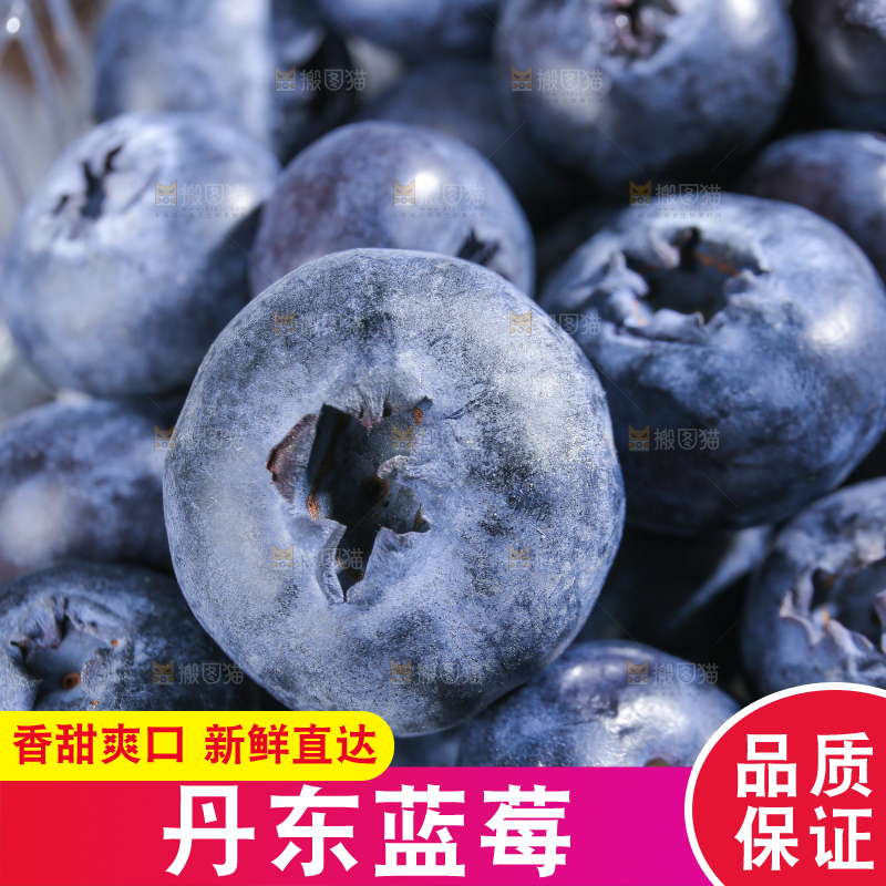 浅底上的新鲜蓝莓