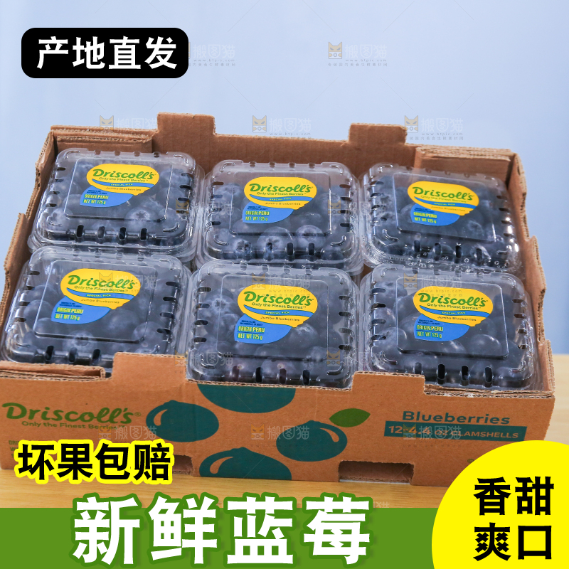 浅底上的新鲜蓝莓