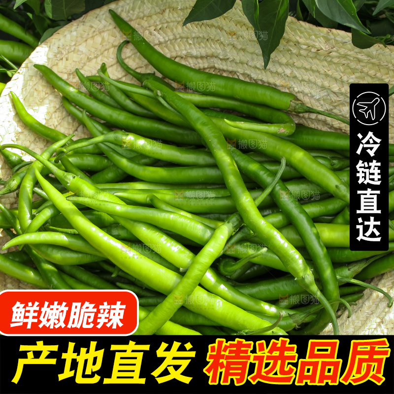 地里现摘的线椒