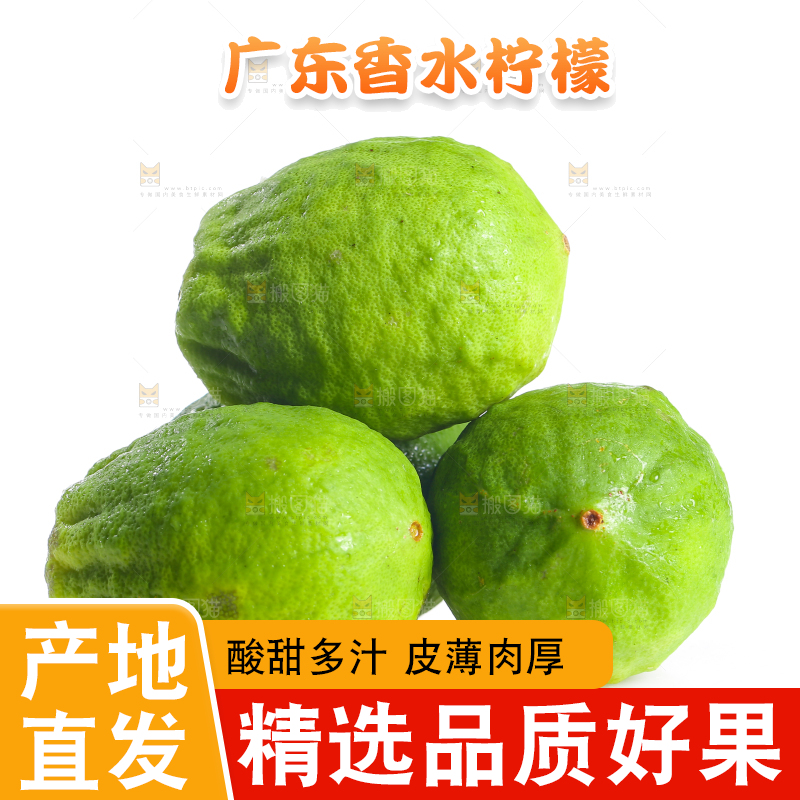 白底上的广东香水柠檬