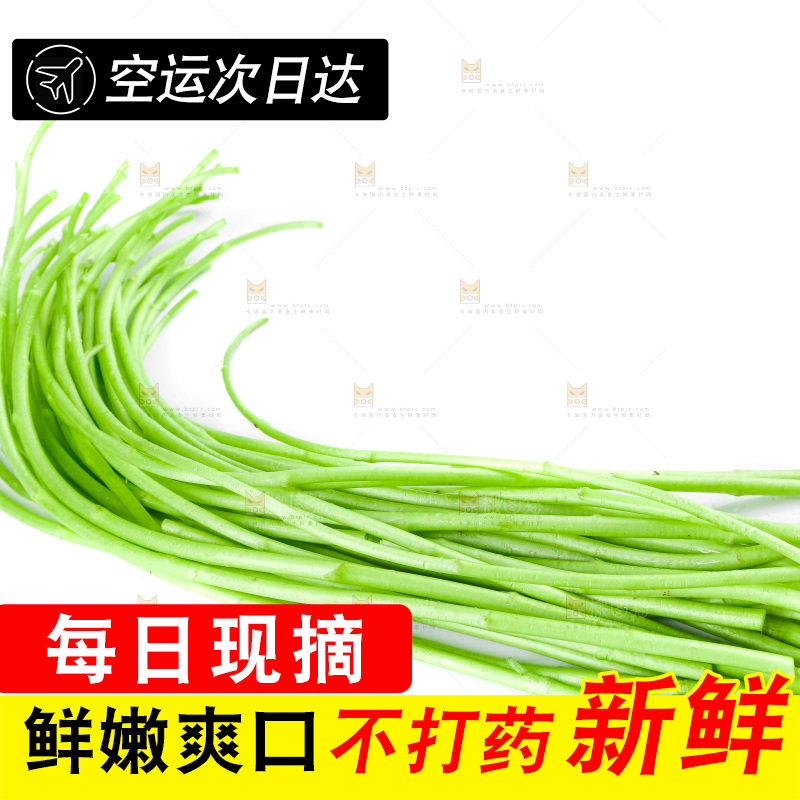白底上放着藜蒿